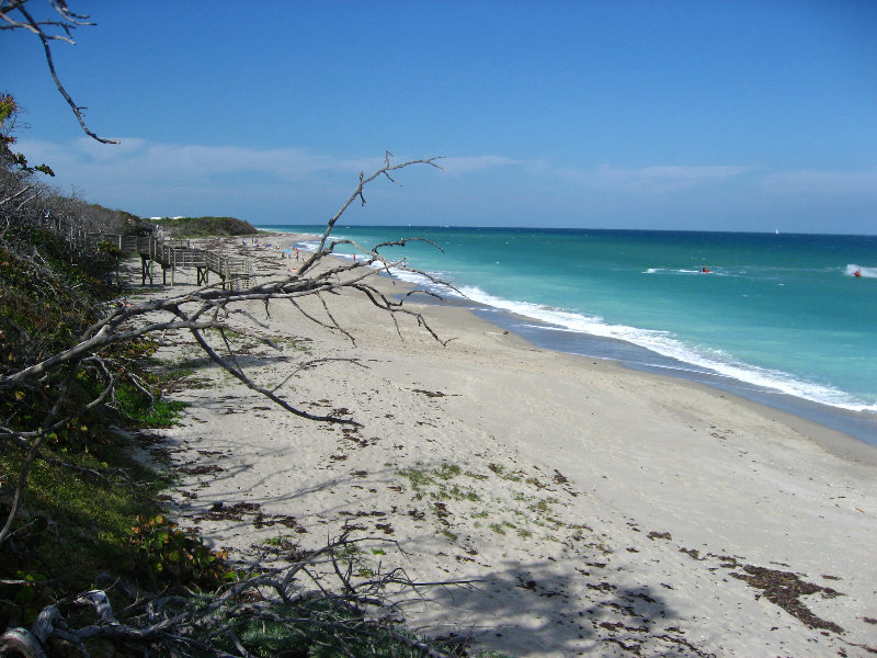 John-D-MacArthur-Beach-State-Park-North-Palm-Beach-FL-047