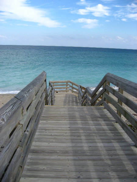 John-D-MacArthur-Beach-State-Park-North-Palm-Beach-FL-064