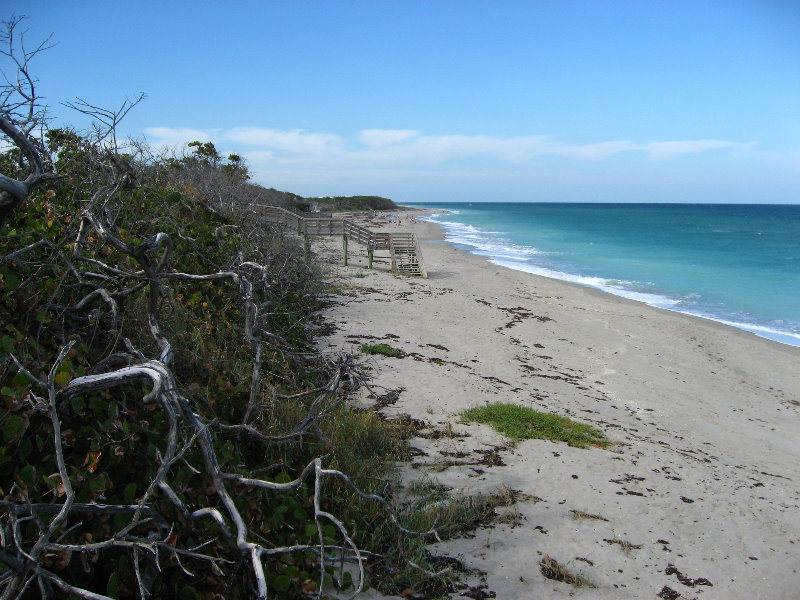 John-D-MacArthur-Beach-State-Park-North-Palm-Beach-FL-065