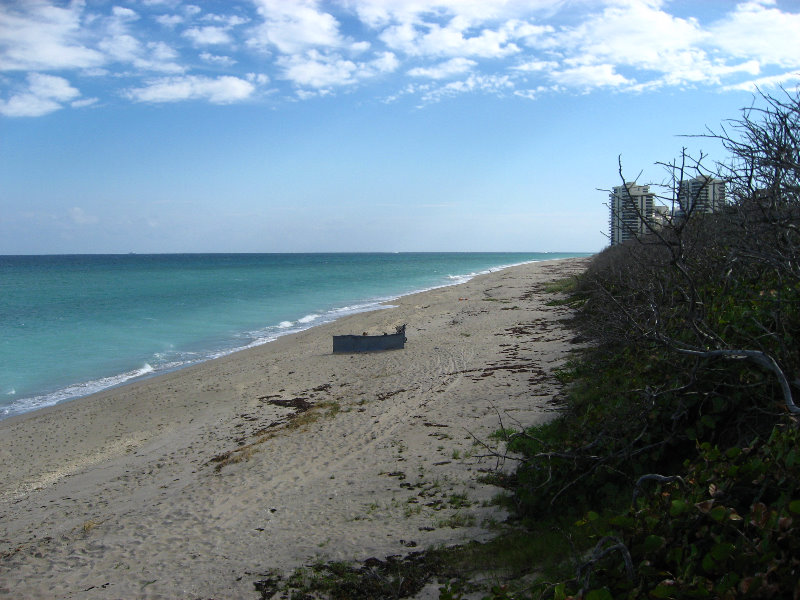 John-D-MacArthur-Beach-State-Park-North-Palm-Beach-FL-067