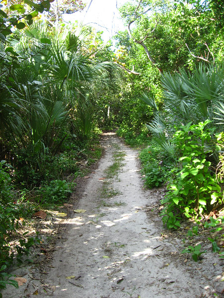 John-D-MacArthur-Beach-State-Park-North-Palm-Beach-FL-073