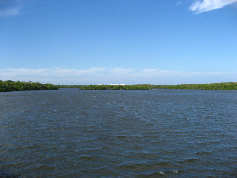 John-D-MacArthur-Beach-State-Park-North-Palm-Beach-FL-081