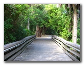 John-D-MacArthur-Beach-State-Park-North-Palm-Beach-FL-017