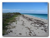 John-D-MacArthur-Beach-State-Park-North-Palm-Beach-FL-032