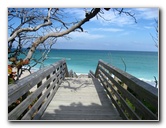 John-D-MacArthur-Beach-State-Park-North-Palm-Beach-FL-041