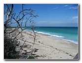 John-D-MacArthur-Beach-State-Park-North-Palm-Beach-FL-042