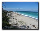 John-D-MacArthur-Beach-State-Park-North-Palm-Beach-FL-047