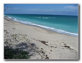 John-D-MacArthur-Beach-State-Park-North-Palm-Beach-FL-048