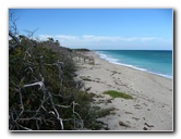 John-D-MacArthur-Beach-State-Park-North-Palm-Beach-FL-065