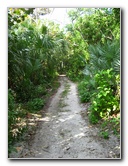 John-D-MacArthur-Beach-State-Park-North-Palm-Beach-FL-073