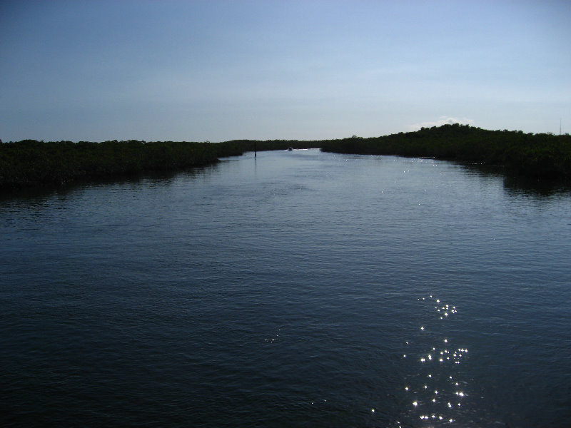 John-Pennekamp-Coral-Reef-Park-Snorkeling-Tour-084