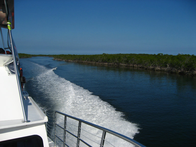 John-Pennekamp-Coral-Reef-Park-Snorkeling-Tour-085