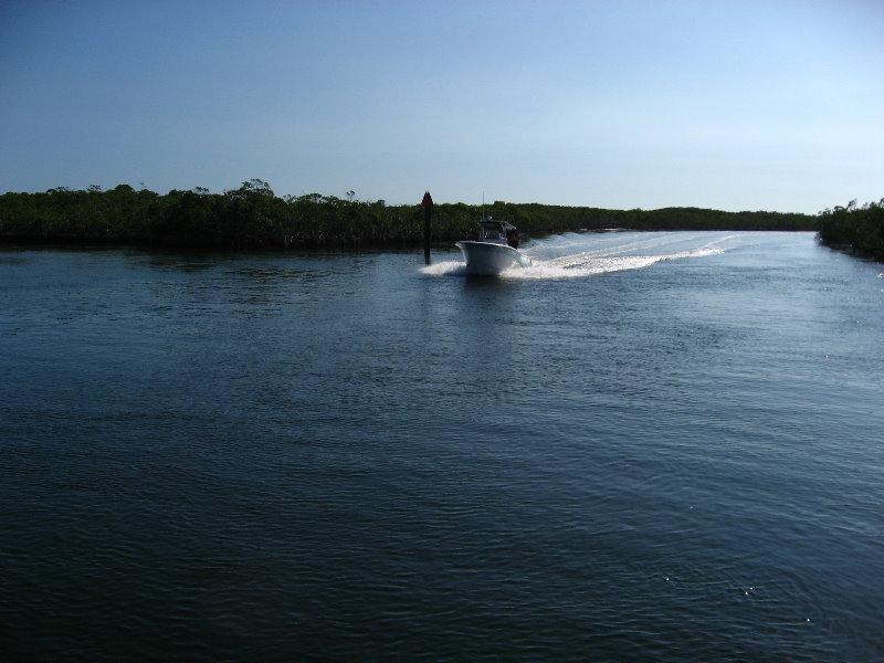 John-Pennekamp-Coral-Reef-Park-Snorkeling-Tour-086