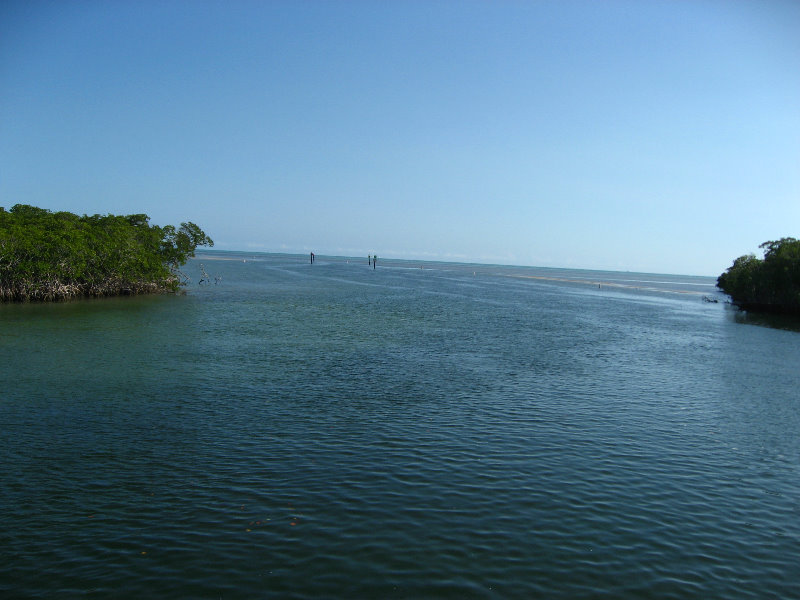 John-Pennekamp-Coral-Reef-Park-Snorkeling-Tour-087