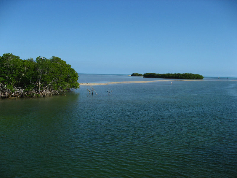 John-Pennekamp-Coral-Reef-Park-Snorkeling-Tour-088