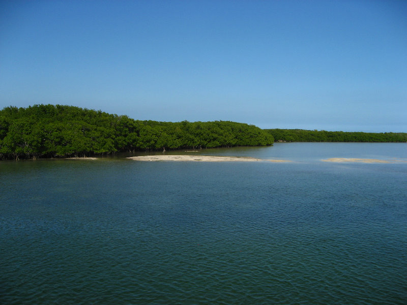 John-Pennekamp-Coral-Reef-Park-Snorkeling-Tour-089