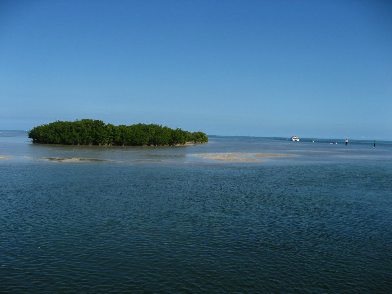 John-Pennekamp-Coral-Reef-Park-Snorkeling-Tour-090