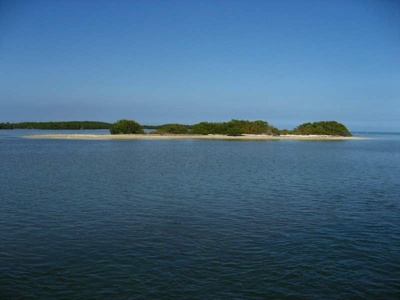 John-Pennekamp-Coral-Reef-Park-Snorkeling-Tour-091