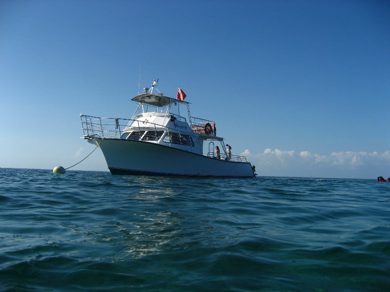 John-Pennekamp-Coral-Reef-Park-Snorkeling-Tour-094