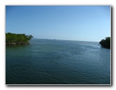 John-Pennekamp-Coral-Reef-Park-Snorkeling-Tour-087