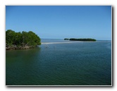 John-Pennekamp-Coral-Reef-Park-Snorkeling-Tour-088