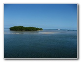 John-Pennekamp-Coral-Reef-Park-Snorkeling-Tour-090