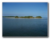 John-Pennekamp-Coral-Reef-Park-Snorkeling-Tour-091