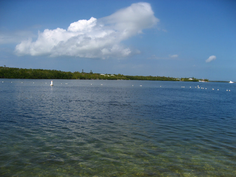 John-Pennekamp-State-Park-Key-Largo-FL-013