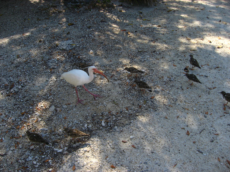 John-Pennekamp-State-Park-Key-Largo-FL-018