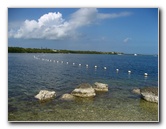 John-Pennekamp-State-Park-Key-Largo-FL-015