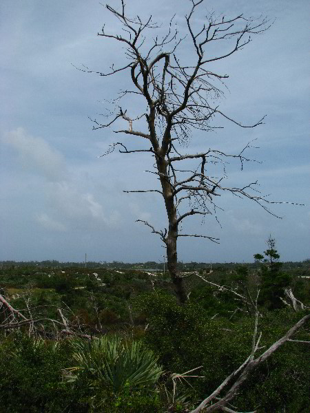 Jonathan-Dickinson-State-Park-Martin-County-FL-017