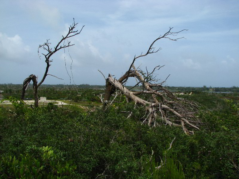 Jonathan-Dickinson-State-Park-Martin-County-FL-021