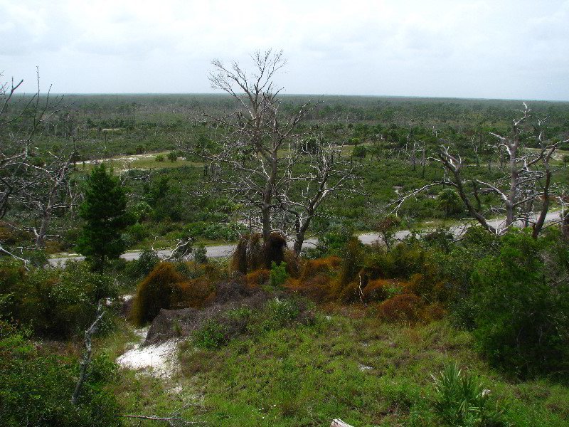 Jonathan-Dickinson-State-Park-Martin-County-FL-029