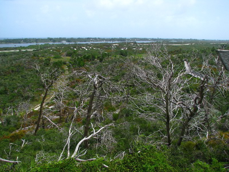 Jonathan-Dickinson-State-Park-Martin-County-FL-030