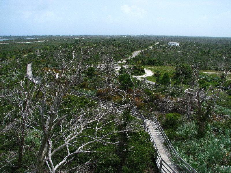 Jonathan-Dickinson-State-Park-Martin-County-FL-031