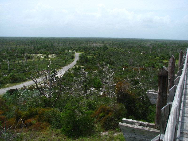 Jonathan-Dickinson-State-Park-Martin-County-FL-032