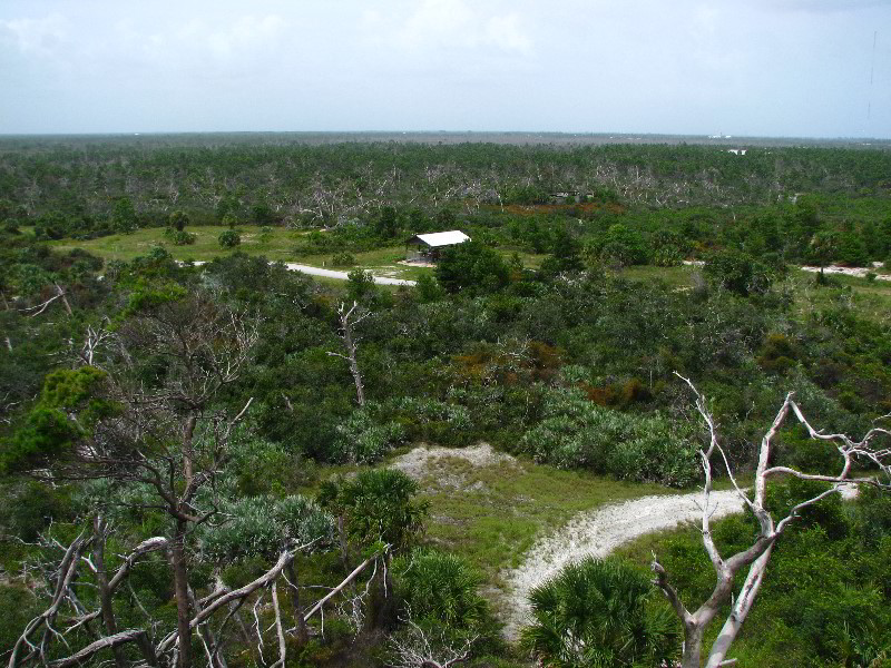 Jonathan-Dickinson-State-Park-Martin-County-FL-033