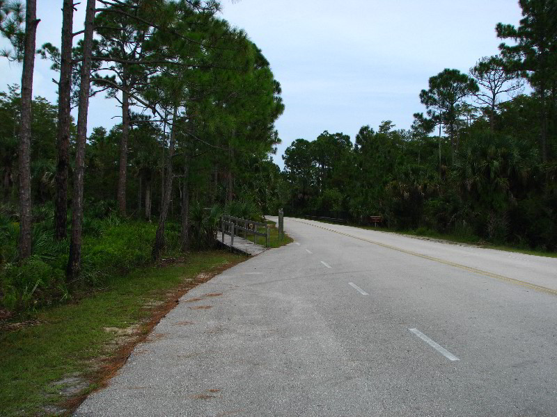 Jonathan-Dickinson-State-Park-Martin-County-FL-041