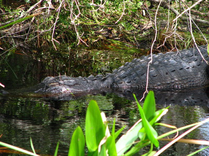 Jonathan-Dickinson-State-Park-Martin-County-FL-044