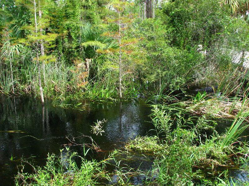 Jonathan-Dickinson-State-Park-Martin-County-FL-050