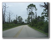 Jonathan-Dickinson-State-Park-Martin-County-FL-006