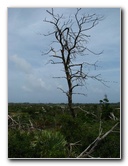 Jonathan-Dickinson-State-Park-Martin-County-FL-017