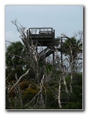 Jonathan-Dickinson-State-Park-Martin-County-FL-020