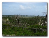 Jonathan-Dickinson-State-Park-Martin-County-FL-027