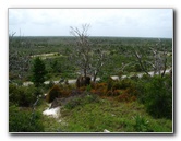 Jonathan-Dickinson-State-Park-Martin-County-FL-029