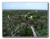 Jonathan-Dickinson-State-Park-Martin-County-FL-031