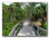 Jonathan-Dickinson-State-Park-Martin-County-FL-042