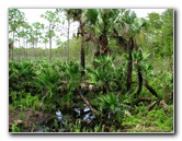 Jonathan-Dickinson-State-Park-Martin-County-FL-051