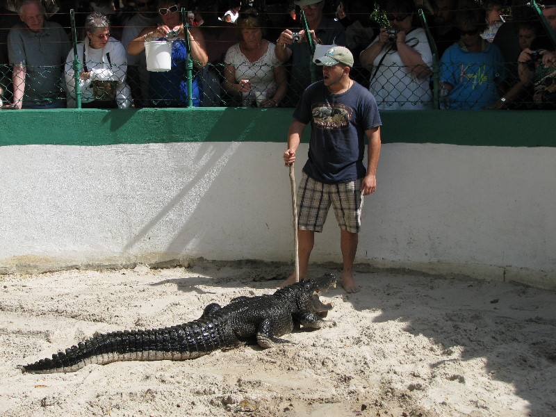 Jungle-Queen-Riverboat-Cruise-Fort-Lauderdale-FL-107