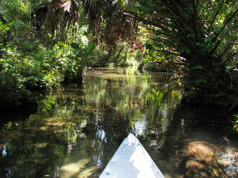 Juniper-Springs-Canoe-Run-Ocala-National-Forest-FL-004